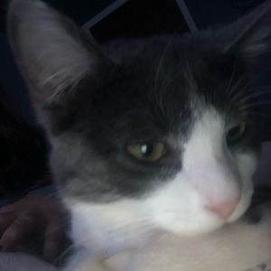 Meet your Posher, Emma